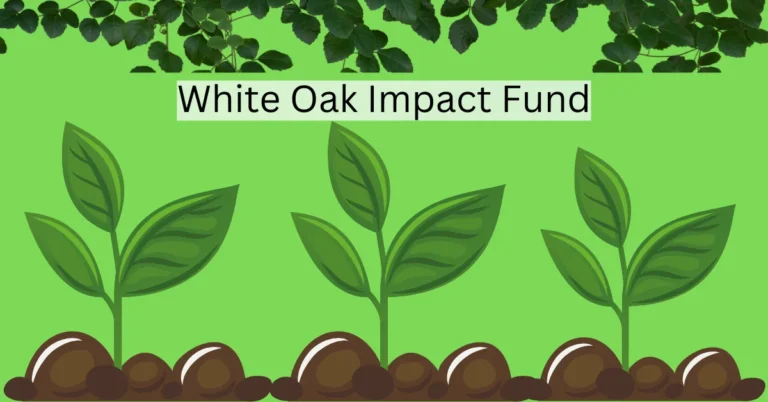 White Oak Impact Fund: Bridging Profit and Purpose